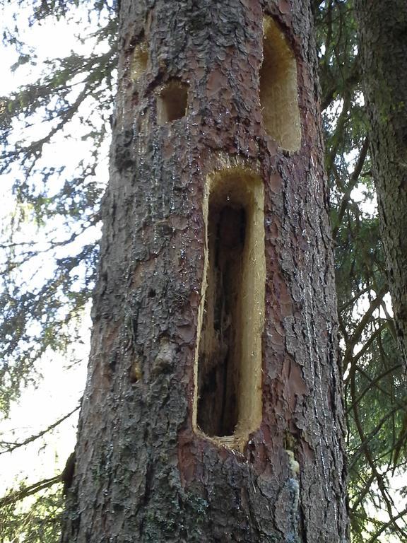 Appartement Ewald Siller Neustift im Stubaital Ruang foto